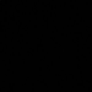 Meet your Posher, Ryda